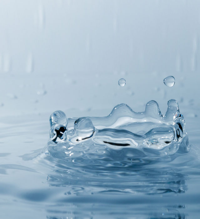 The Basics of Hydration
